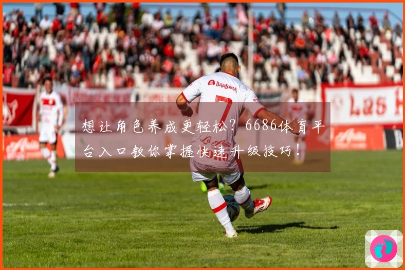 想让角色养成更轻松？6686体育平台入口教你掌握快速升级技巧！